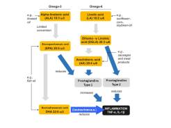 Fettstoffwechsel SAN OMEGA EN cor
