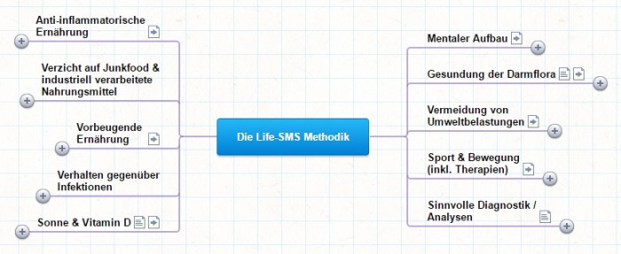 Landkarte der Life-SMS-Methodik