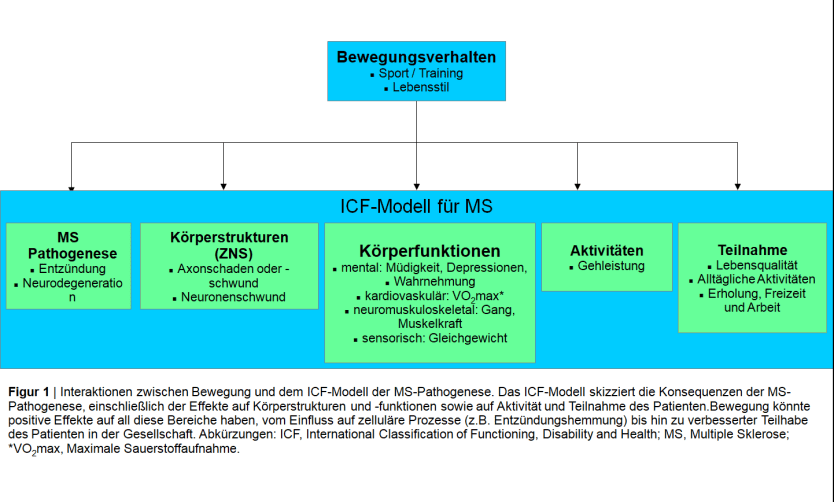 Übersicht: MS - Sport, Training und Bewegung