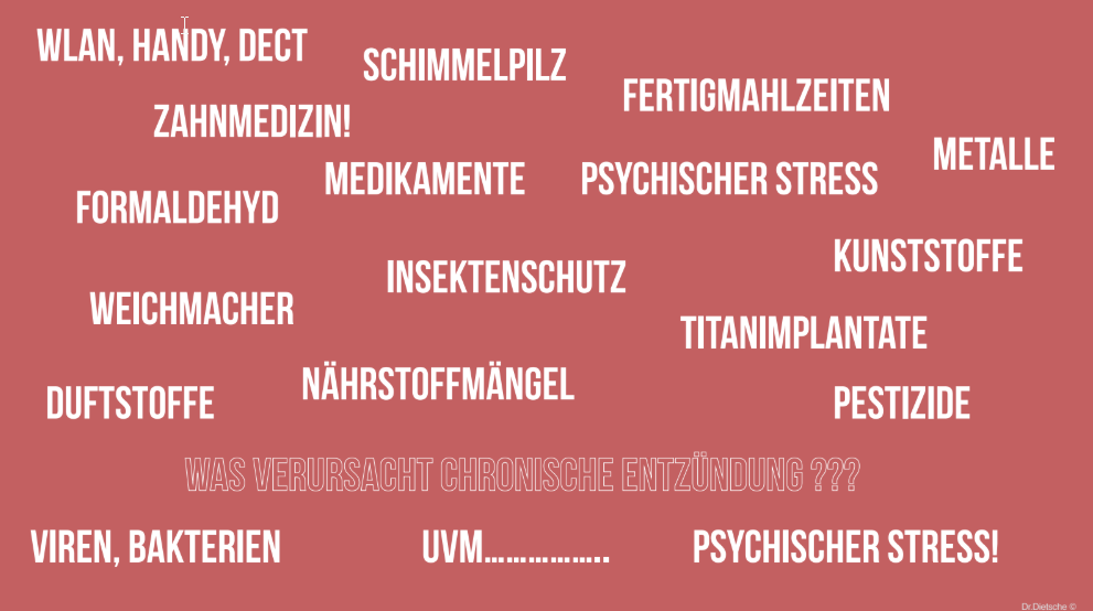 Eine Übersicht zu Schadfaktoren, Chronische Entzündung & Psyche (ⒸDr. med. Stefan Dietsche)