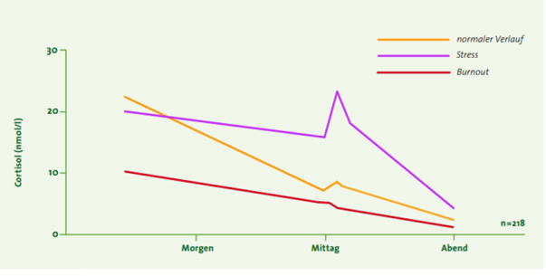 Die Cortisolkurve als Maß für Stress und Burnout (ⒸDr. med. Elke Mantwill)