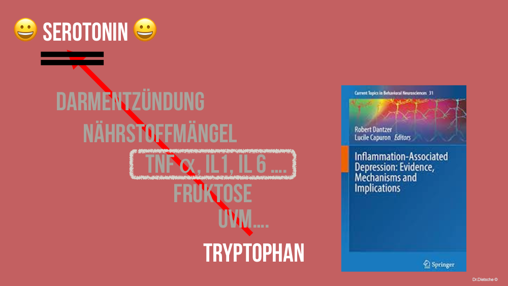 Grafik möglicher Störfaktoren der Umwandlung von Tryptophan zu Serotonin