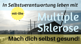 Logobanner MS mit-ilke